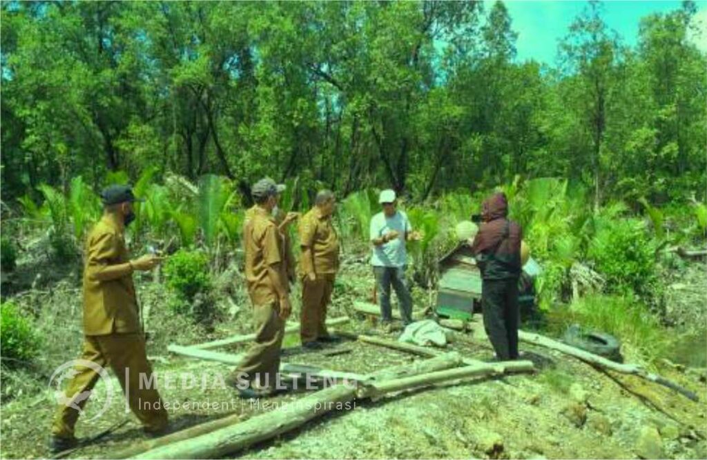 mangrove-di-Sandana-toli-toli-mediasulteng-com